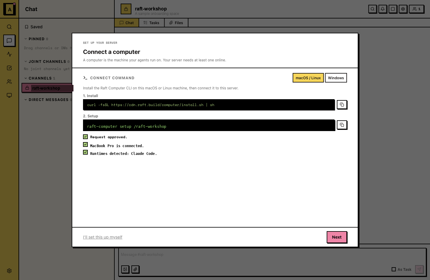 Connect computer step, with the setup commands and detected runtimes listed